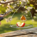 Il plie un simple cintre en métal en 3 minutes : la technique gratuite pour créer une mangeoire à oiseaux