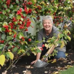 Les anciens les plantaient partout : ces arbustes oubliés font revenir les oiseaux au jardin