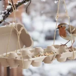 Ne jetez plus vos boîtes d’œufs : au jardin, elles attirent les oiseaux et sont très utiles cet hiver